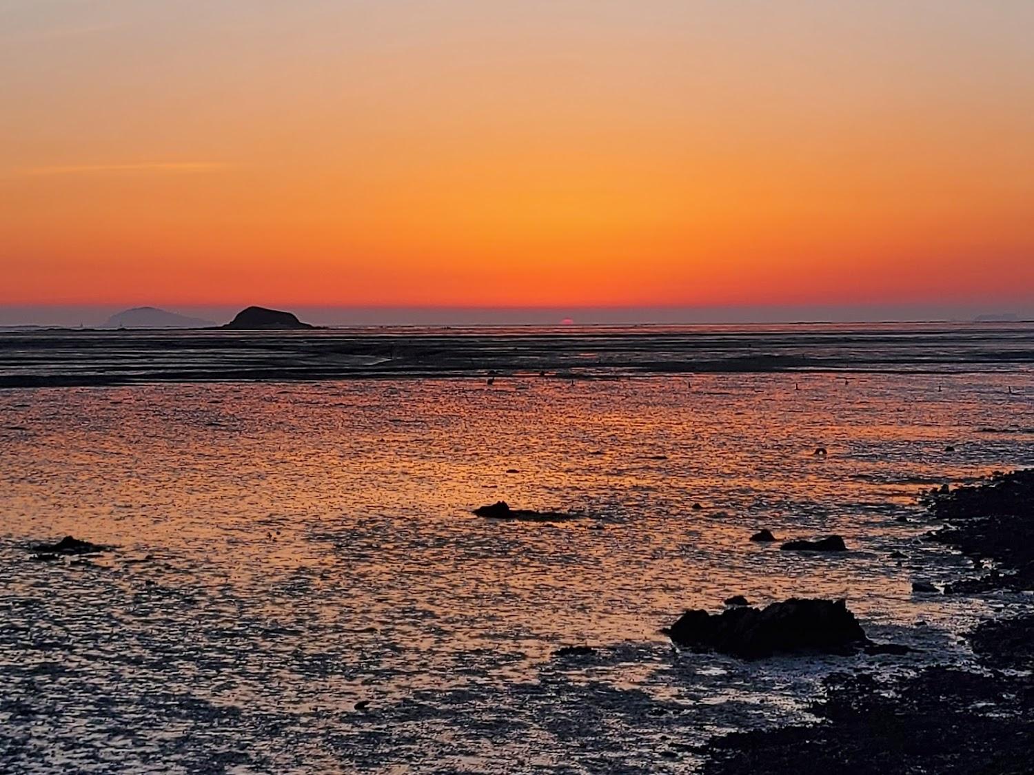 Cover Image for 선셋펜션