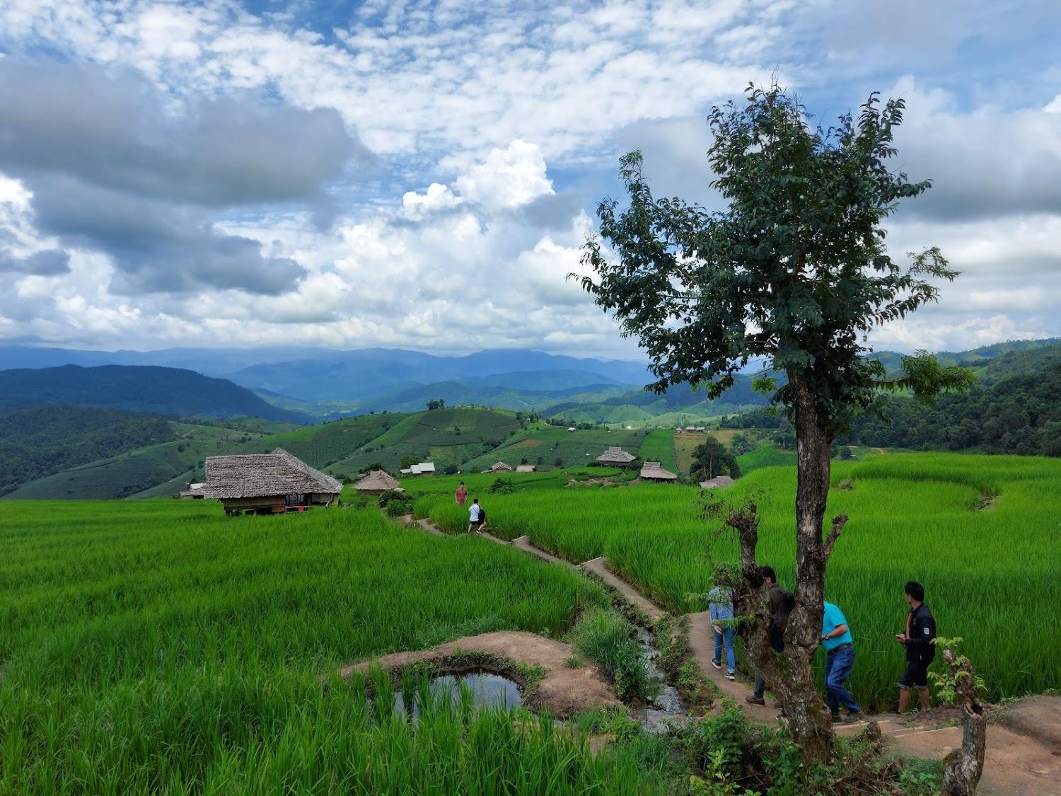 Cover Image for Ban Rabiang Na Pa Bong Piang