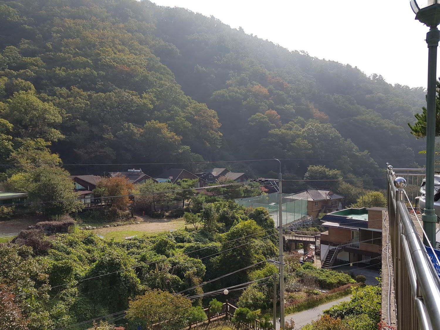 Cover Image for 제니펜션