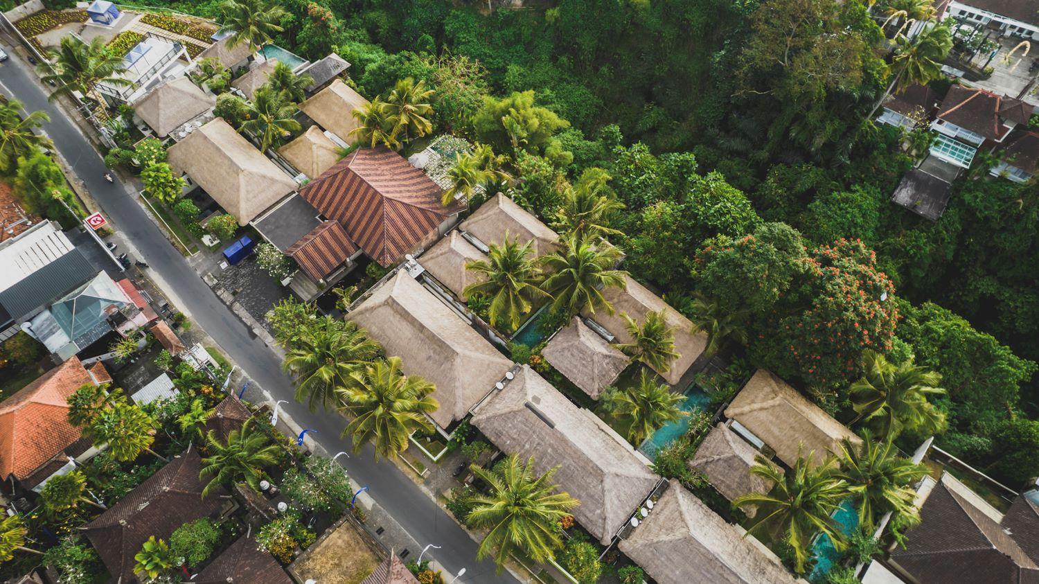 Cover Image for Luwak Estate