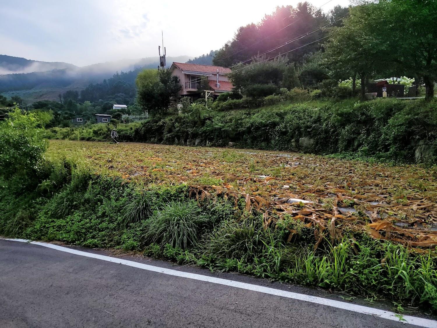 Cover Image for 아델펜션