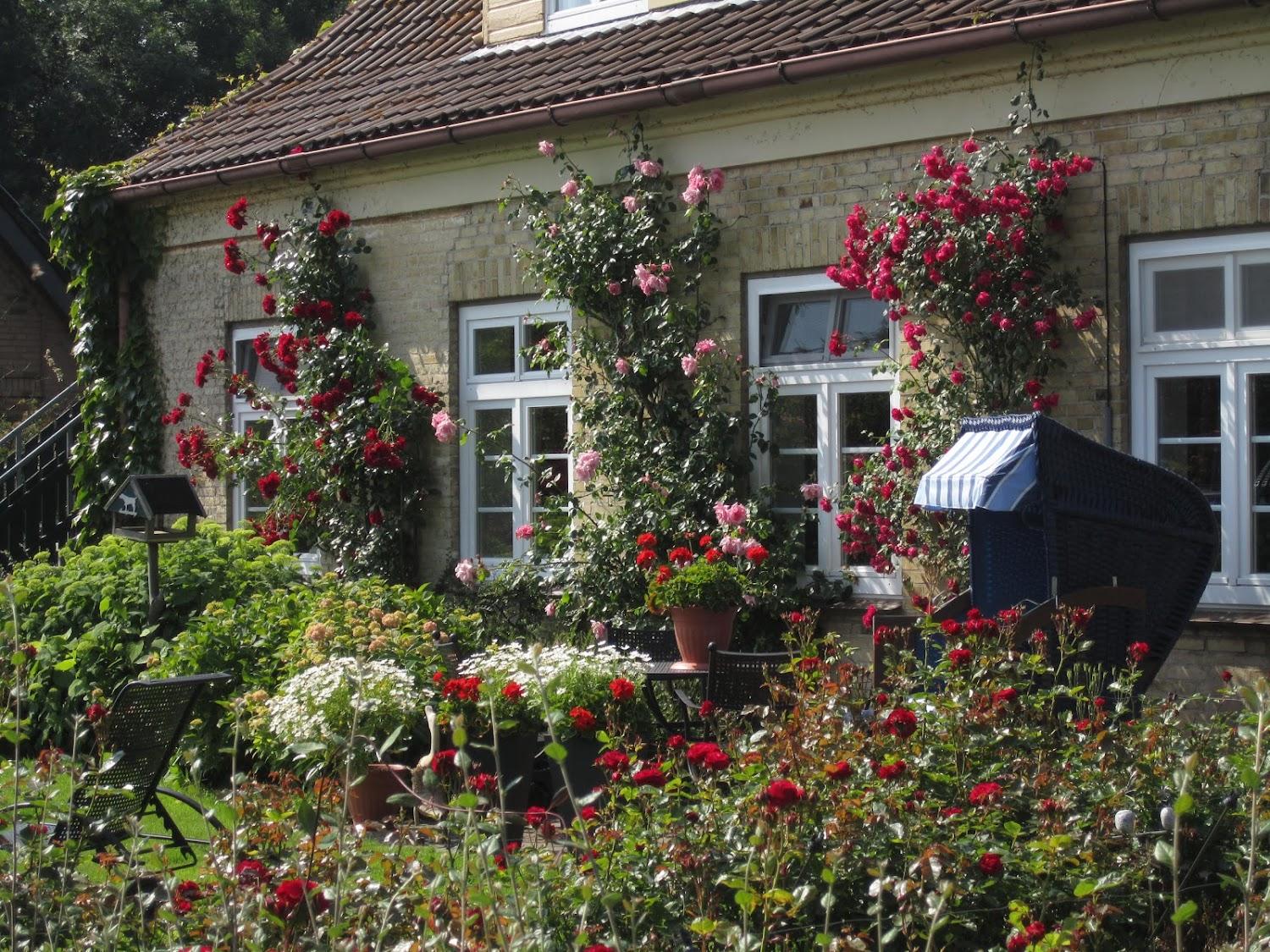 Cover Image for Agritourism Liesenberg with fantastic sea view