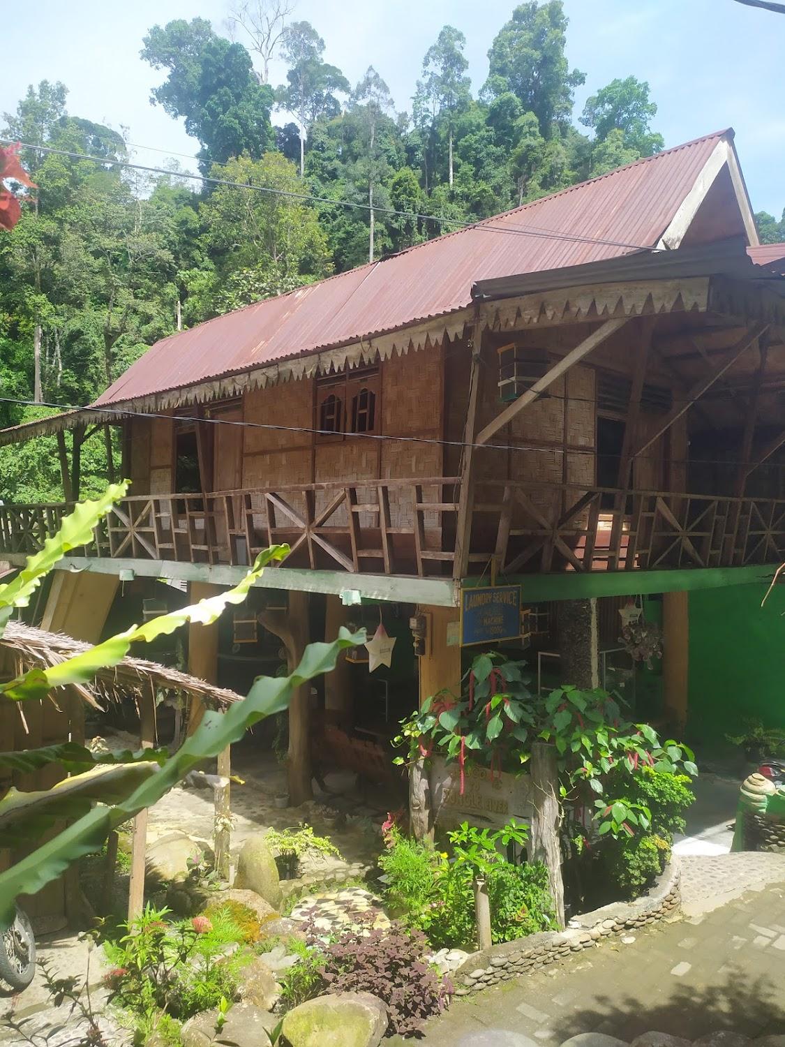 Cover Image for Jungle River House