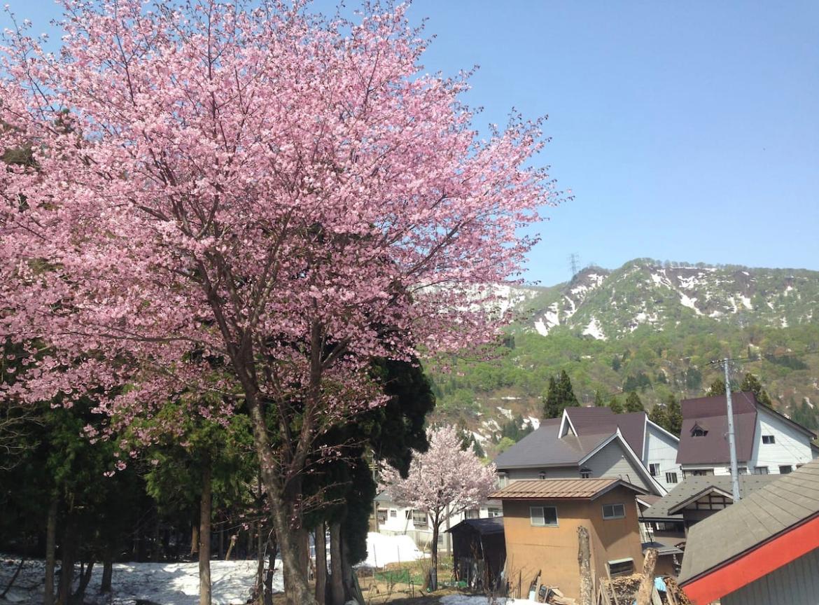 Cover Image for 有馬屋 Arimaya Vintage Backcountry Inn