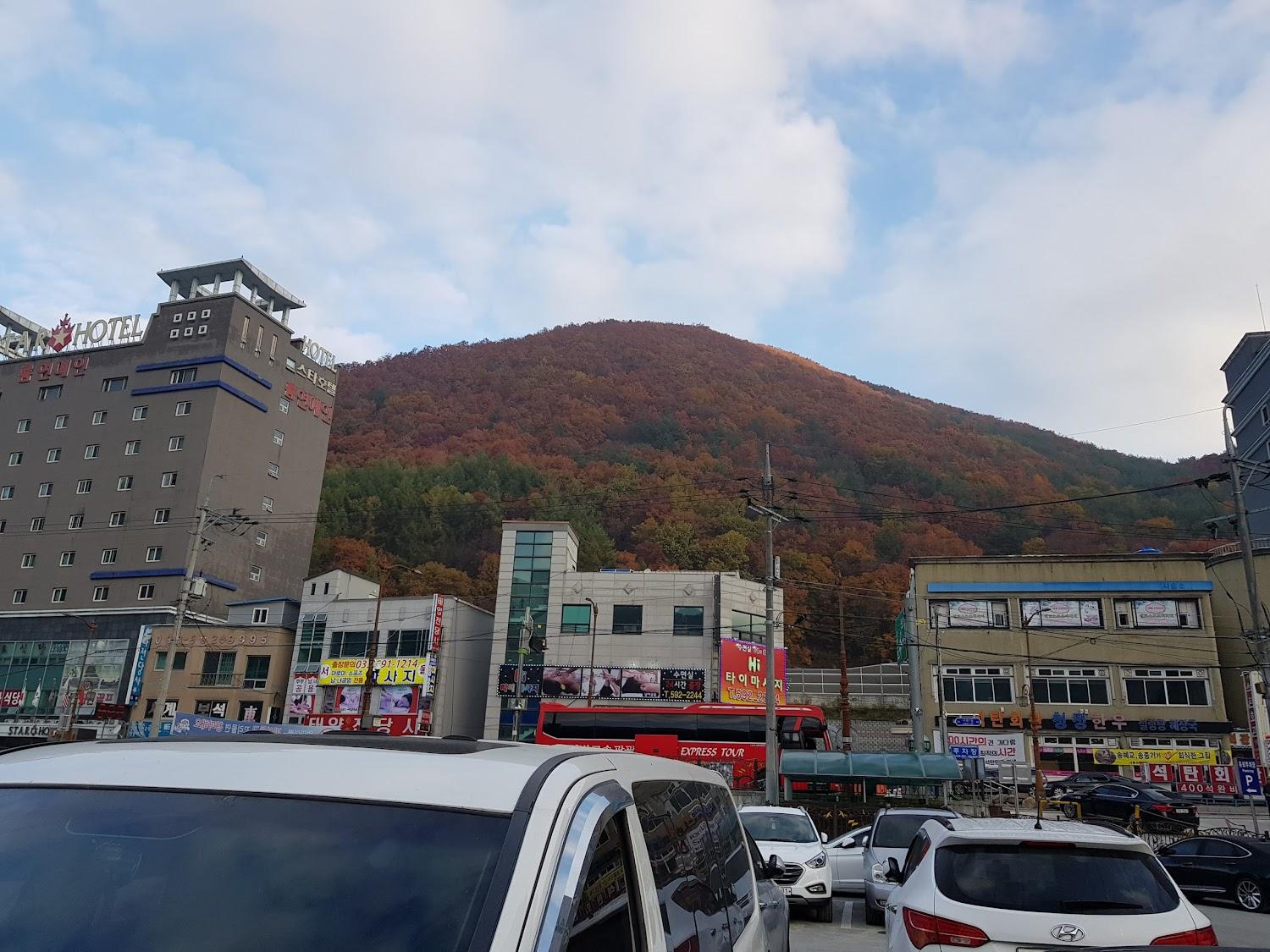 Cover Image for 스타호텔
