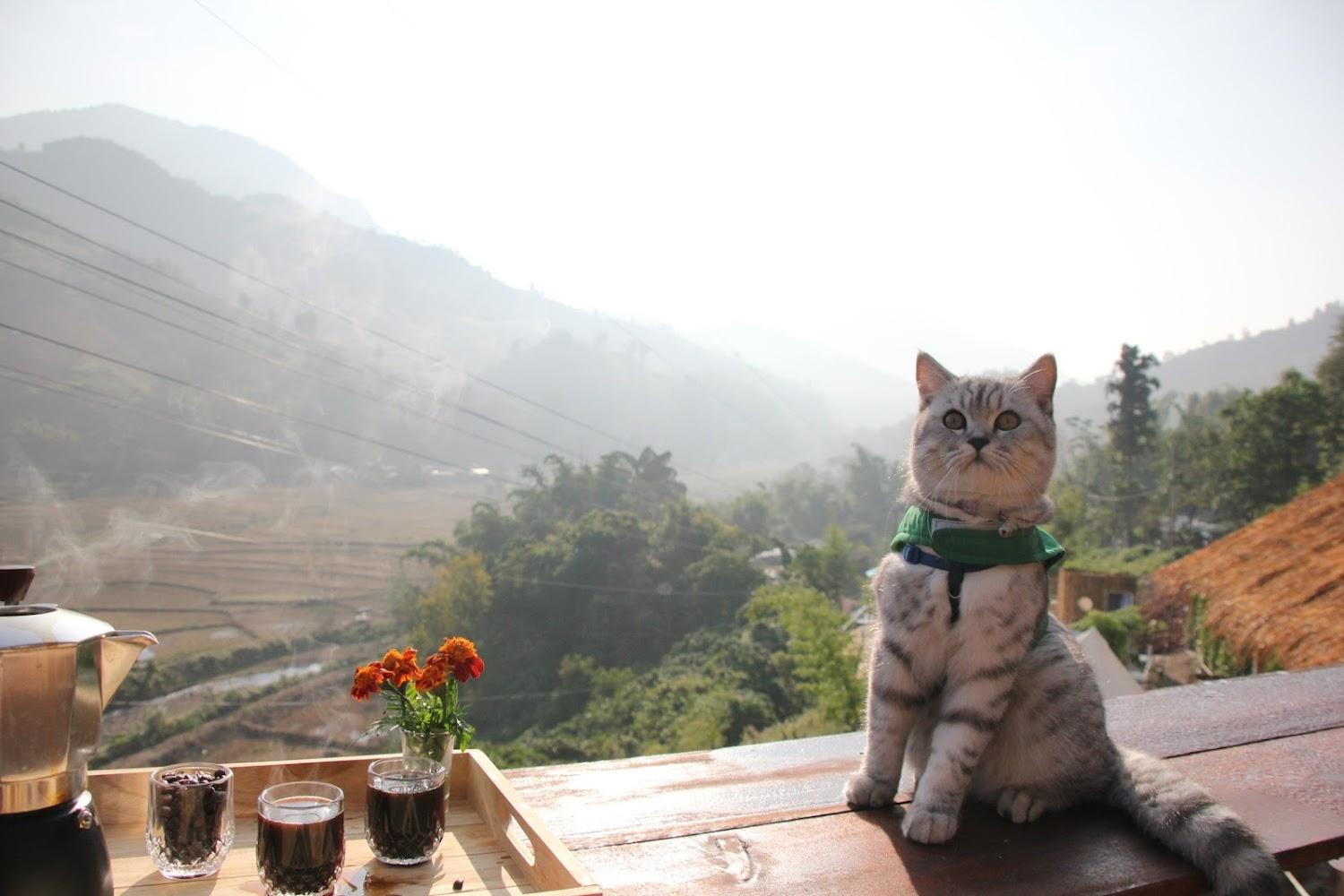 Cover Image for เว-นิส บ้านเวร