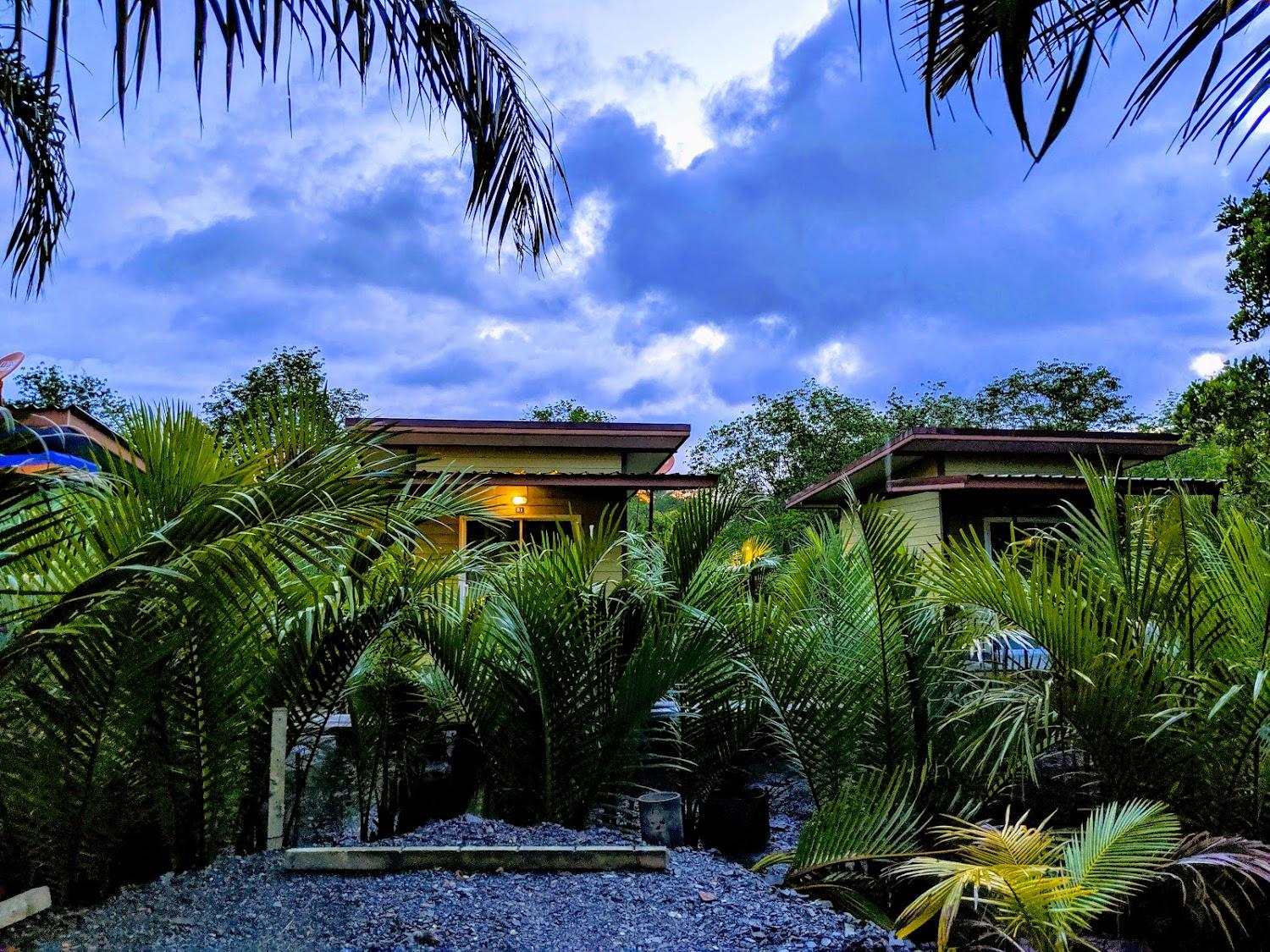 Cover Image for Thamalai Resort