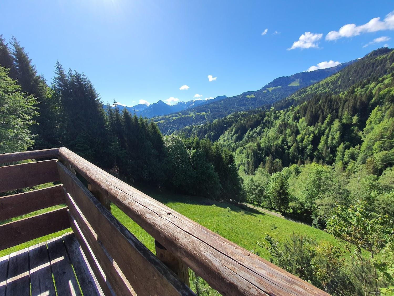 Cover Image for Fluhhütte