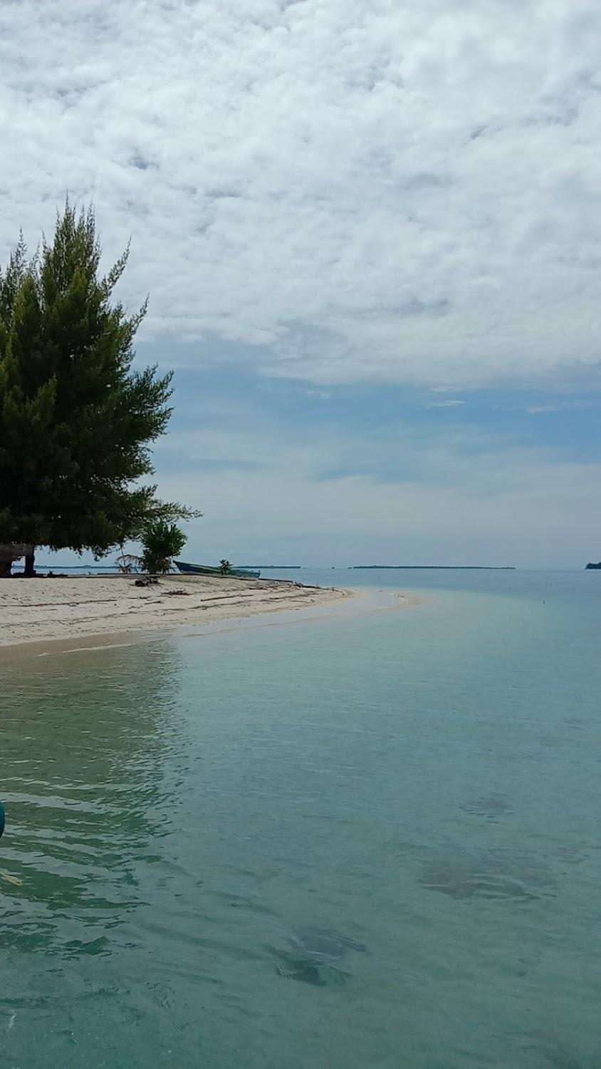 Cover Image for The Coral Sikandang