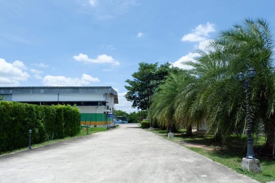 Cover Image for Ảnh At a glance