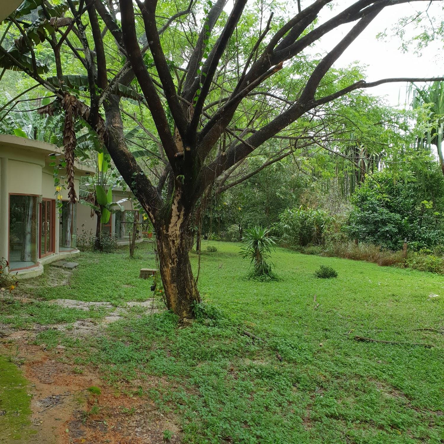 Cover Image for Smallville ranong