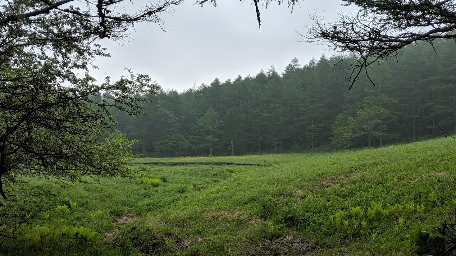 Cover Image for 山彦荘