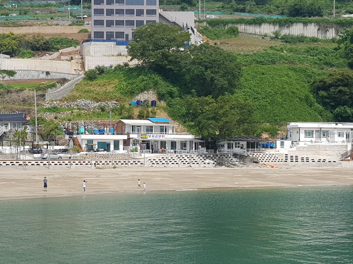 Cover Image for 모사금펜션