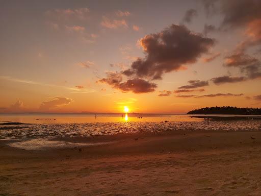 Cover Image for Nibbana Koh Phangan
