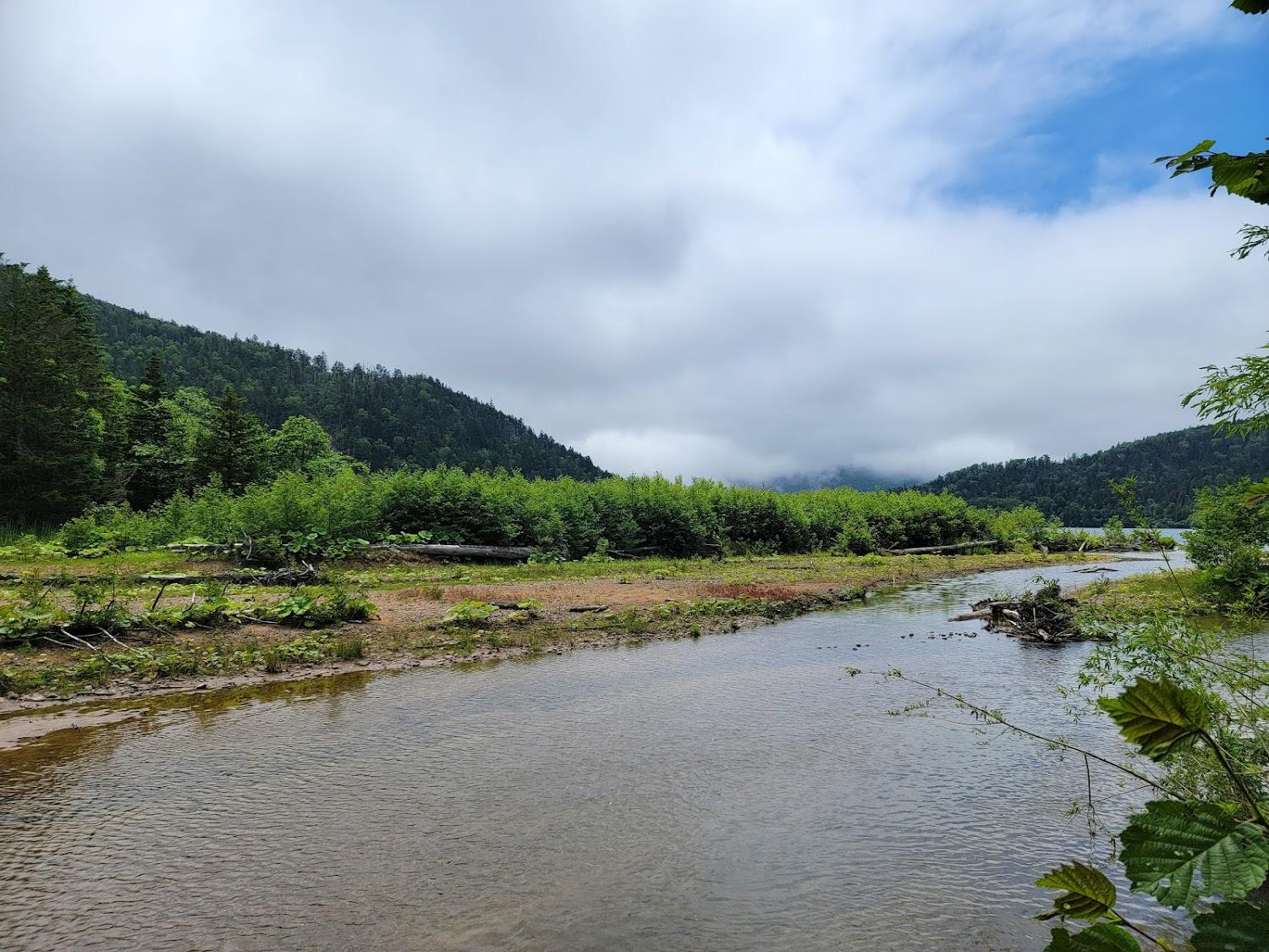 Cover Image for Shikaribetsu Lake North coast camp field