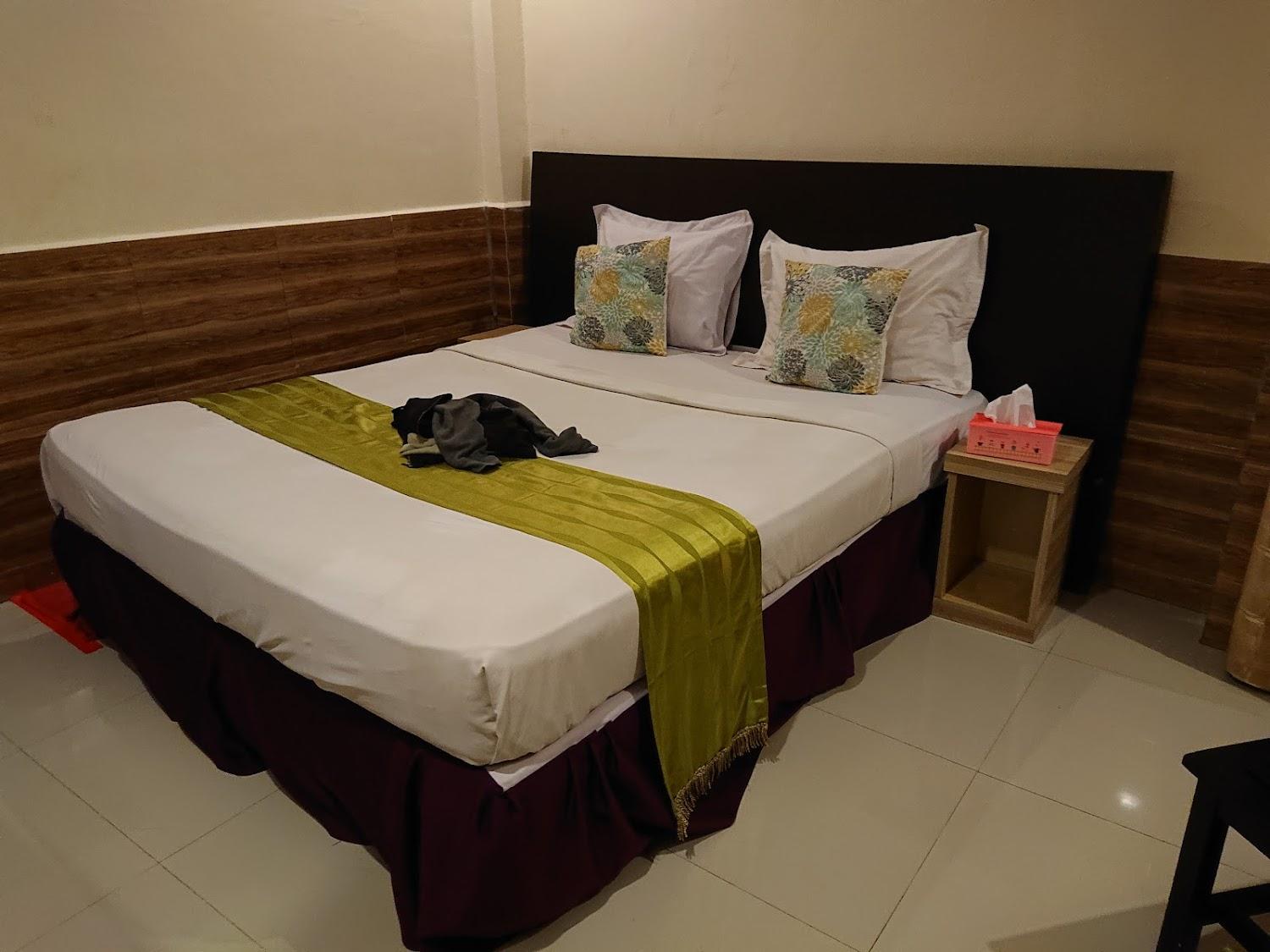 Cover Image for Hotel Sarison
