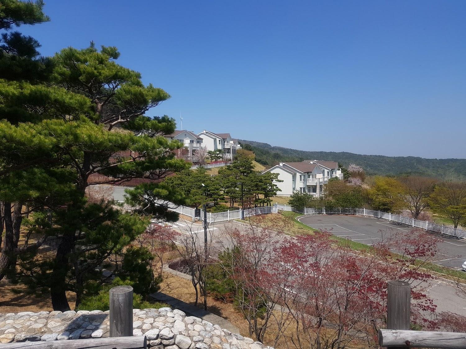 Cover Image for 마우나콘도