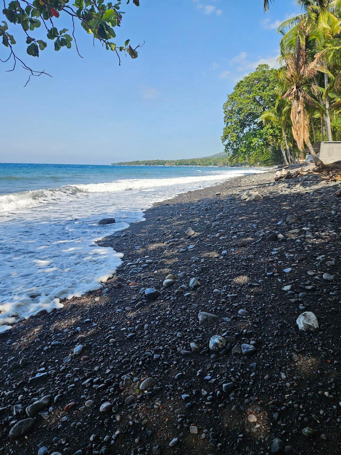 Cover Image for Devi's Place, Tejakula
