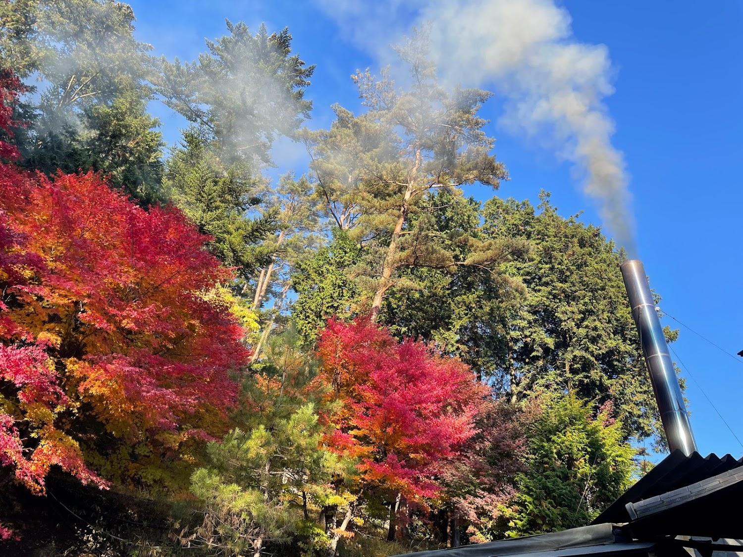 Cover Image for Yuseikan