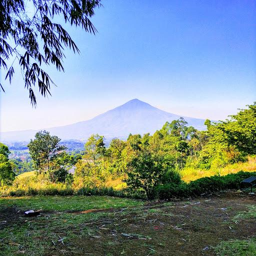 Cover Image for Kebun Mawar Situhapa