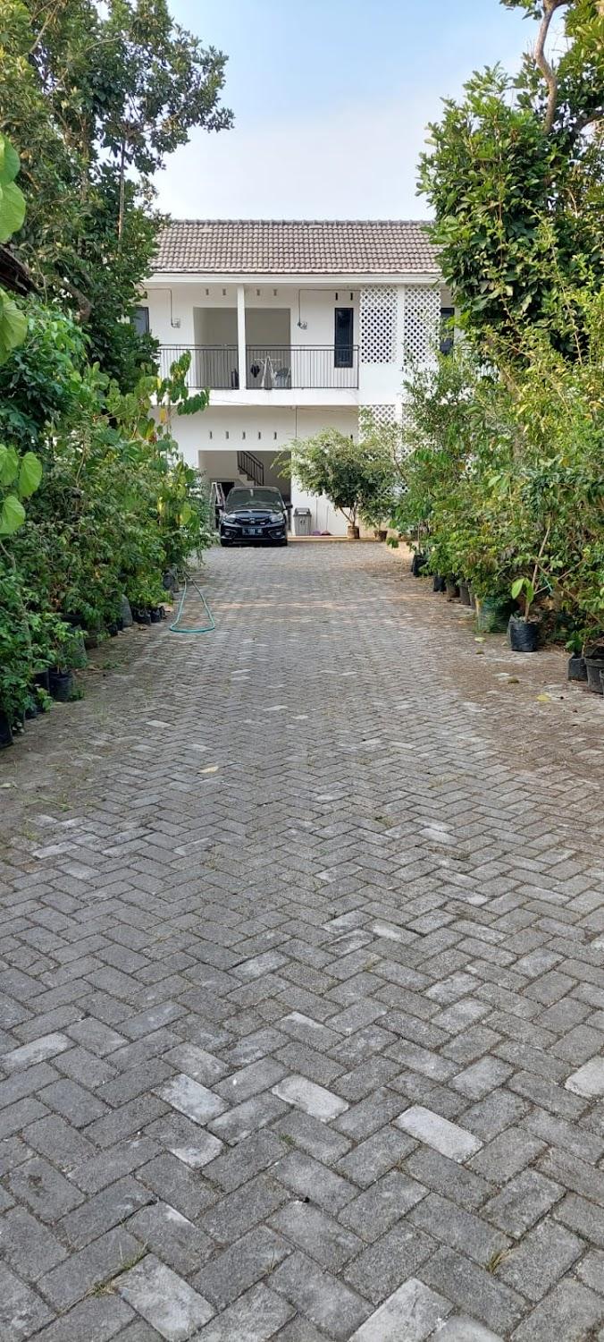 Cover Image for Kos Putih