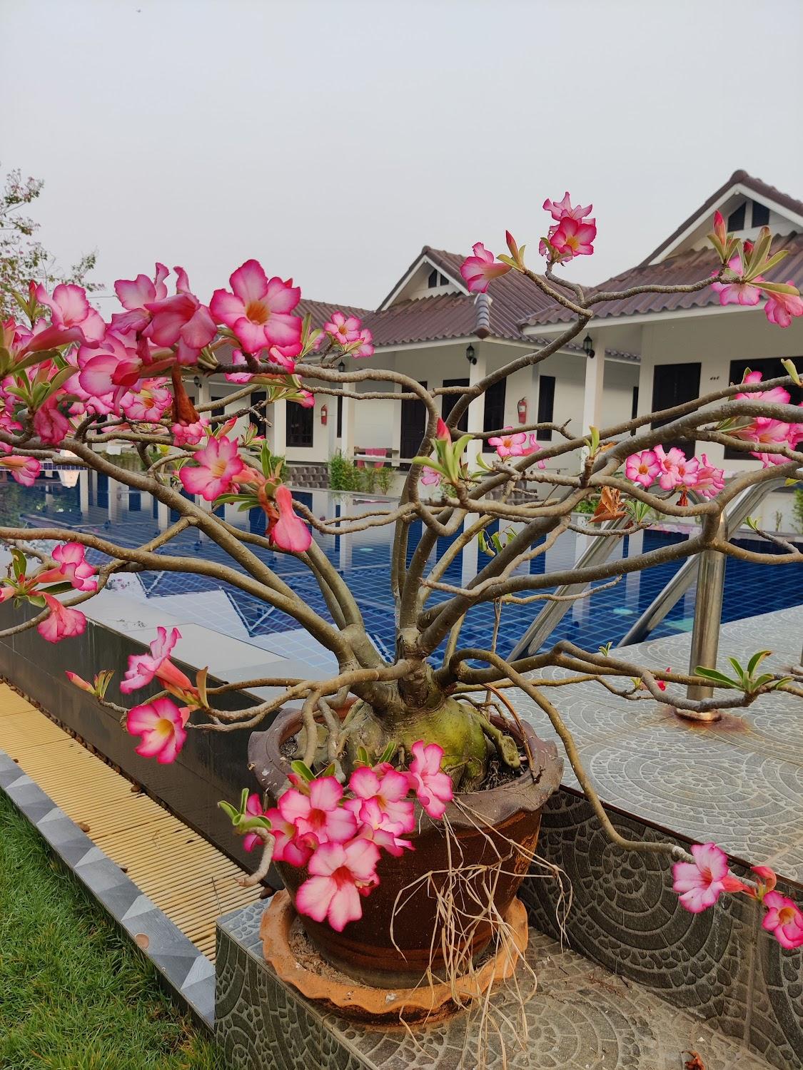 Cover Image for ธนะวงษ์ พูลวิลล่า Thanawong Pool Villa