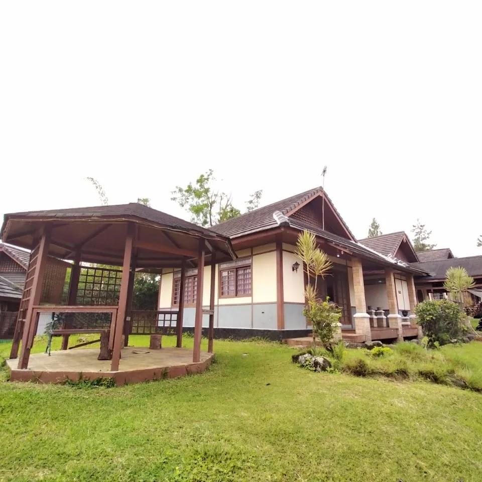 Cover Image for Sewavilapuncak_kota bunga