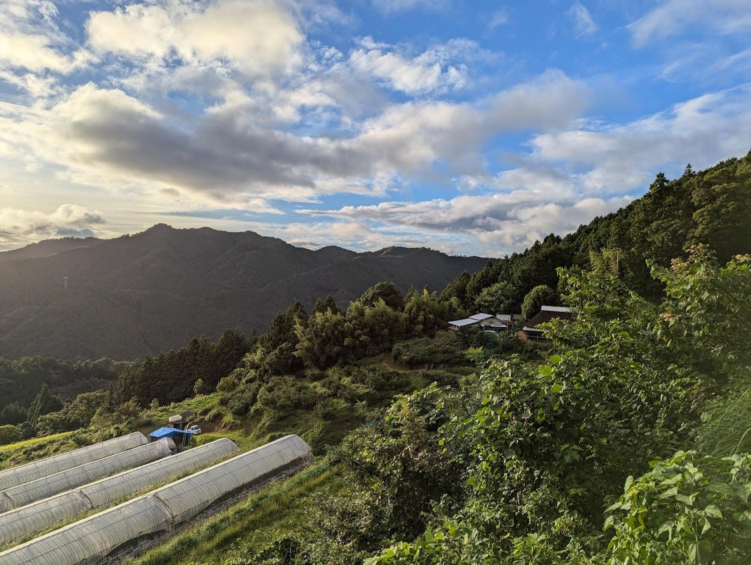 Cover Image for Yusukawa Guest house Coccoron