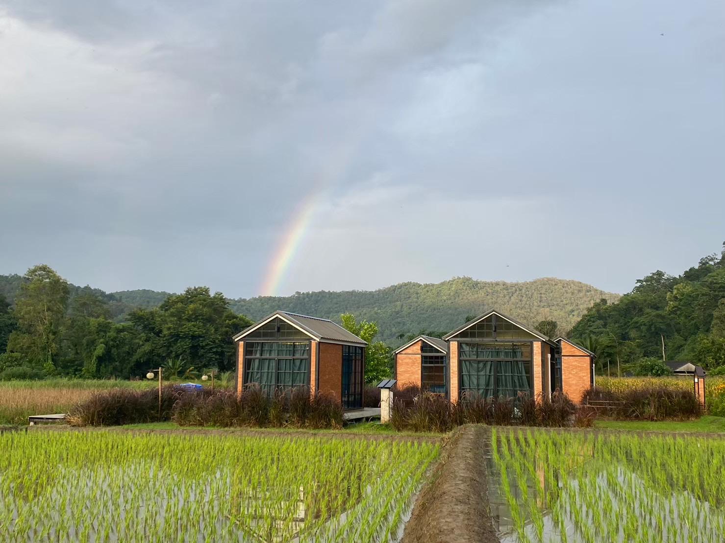 Cover Image for The Maewin Coffee & Cottage