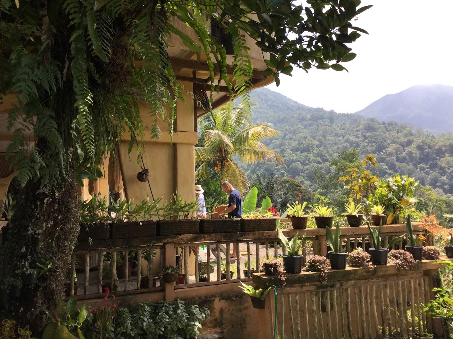 Cover Image for Mountains Side Villa