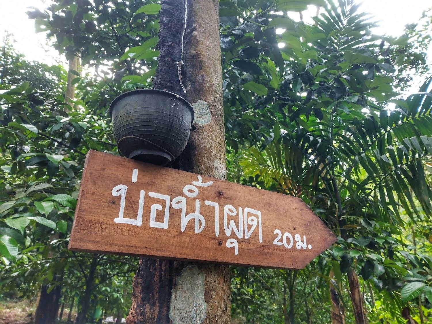 Cover Image for บ้านไร่ชายเขา ฟาร์มสเตย์