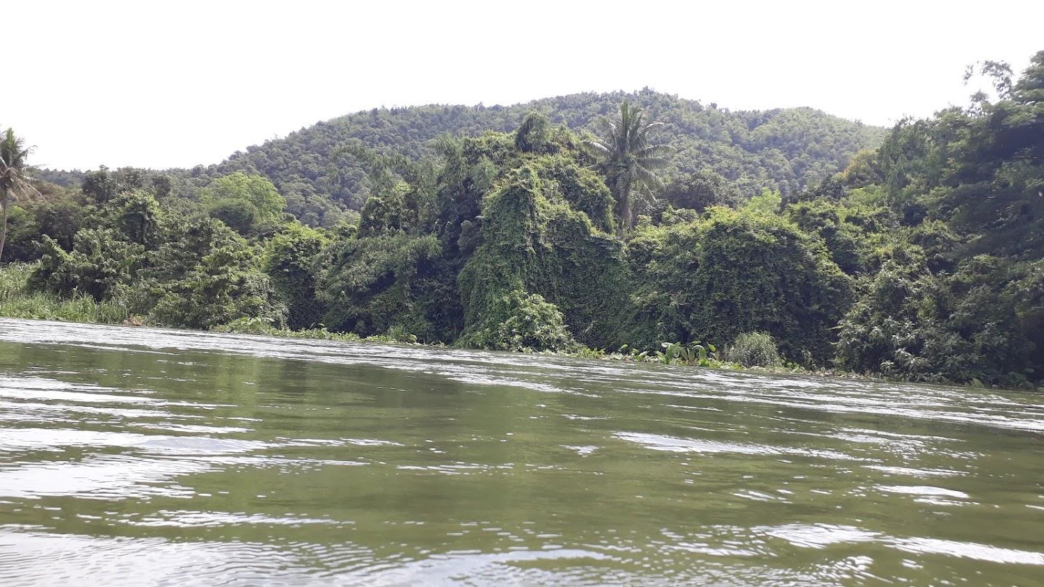 Cover Image for River Green Moutain