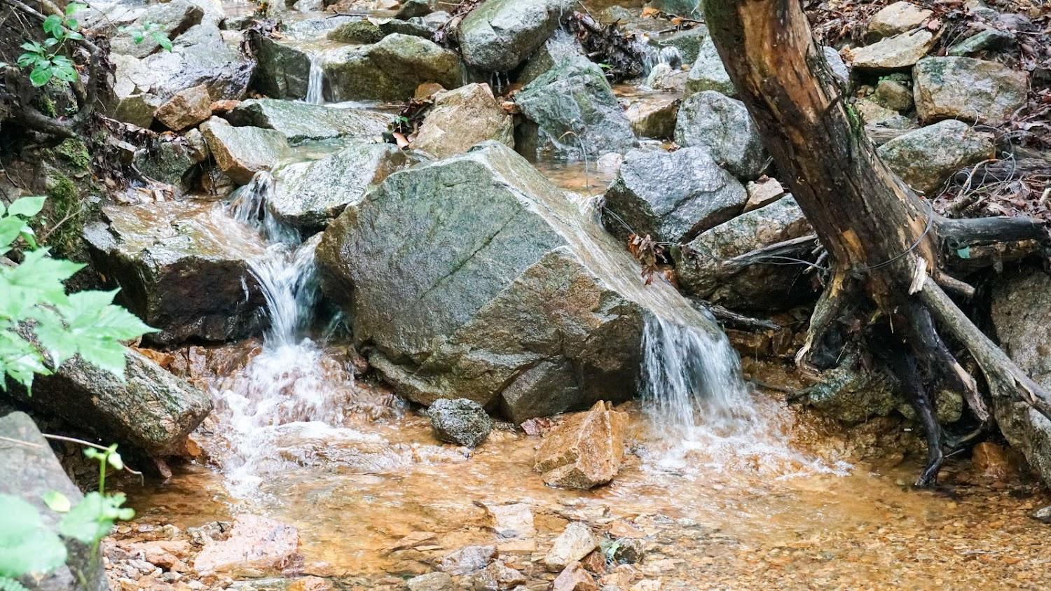 Cover Image for 새나드리