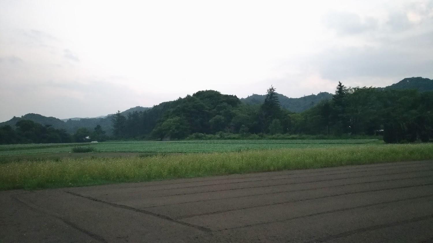 Cover Image for 軽井沢ペンションひまわり