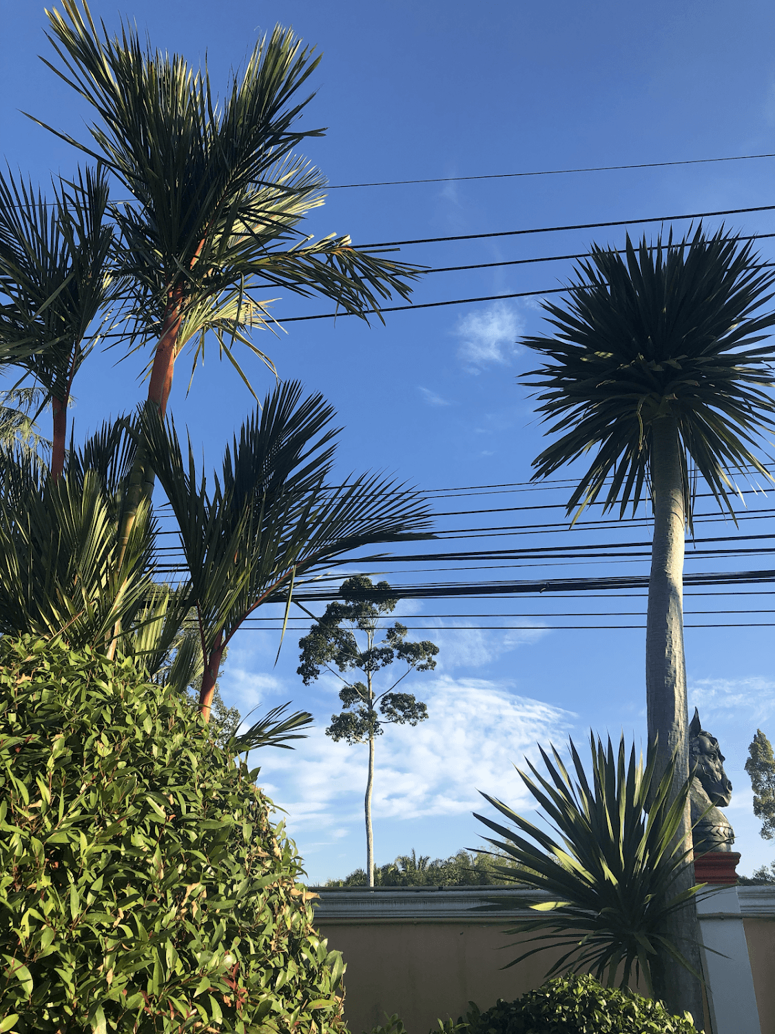 Cover Image for โรงแรมฟ้ารุ่งรีสอร์ท