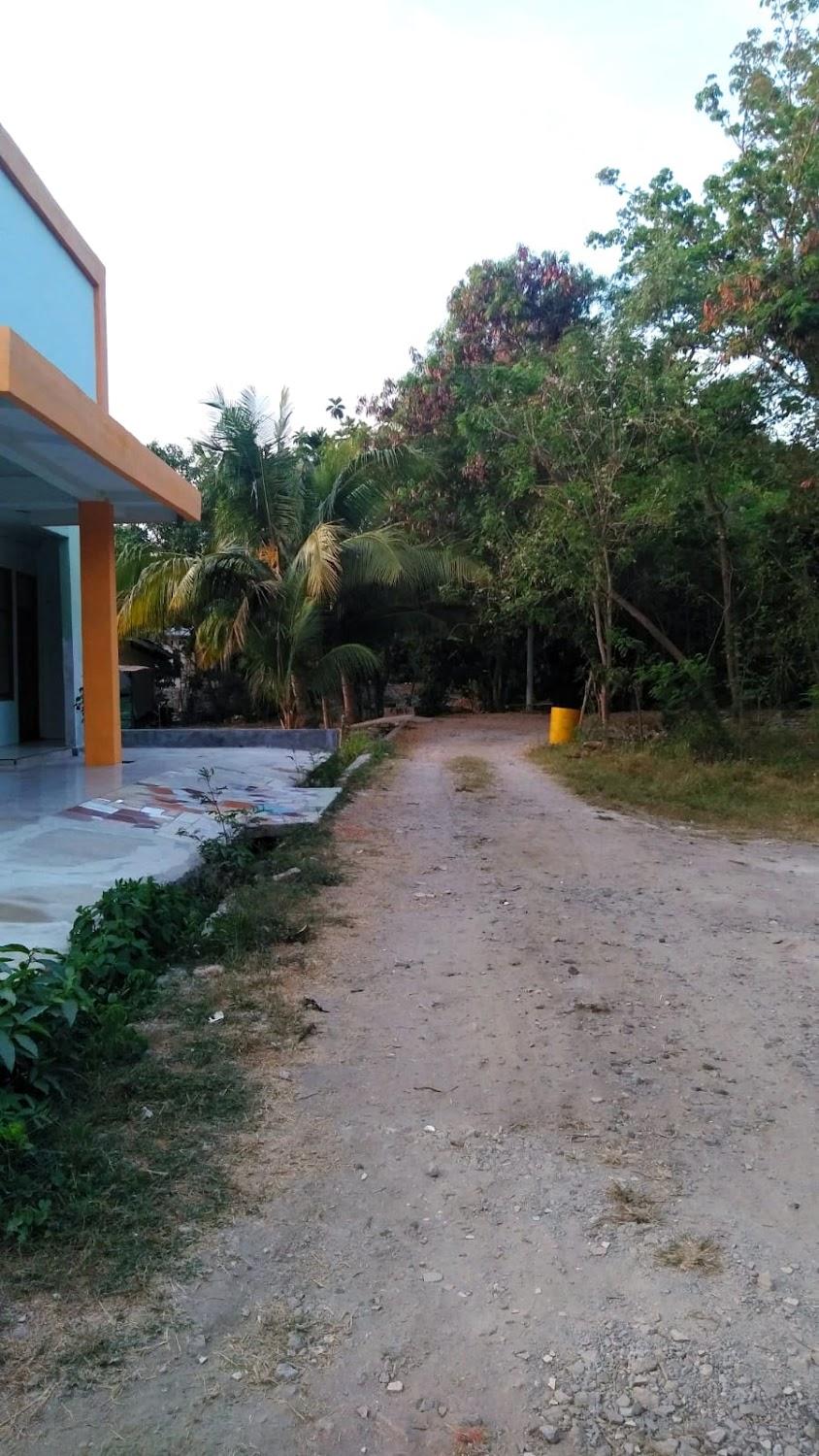 Cover Image for Guest House Aileen