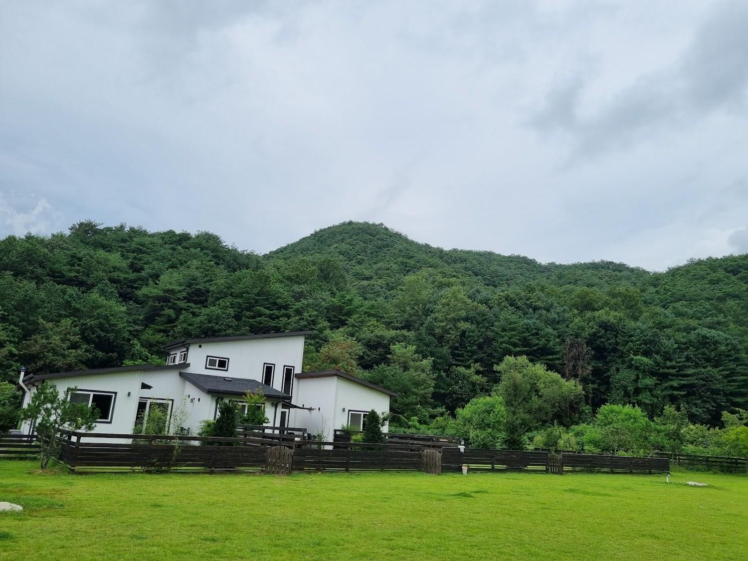 Cover Image for 쓰담쓰담