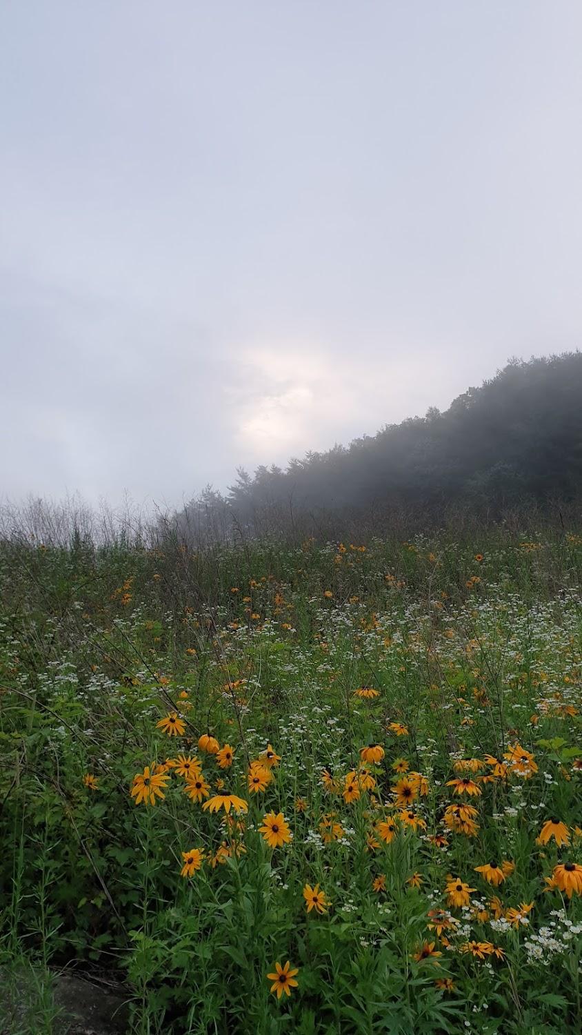 Cover Image for 샬레 리조트