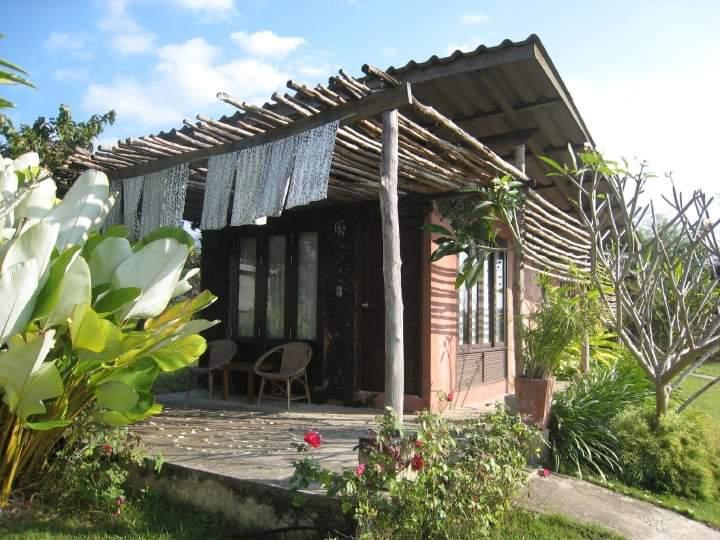 Cover Image for Love Pai Home
