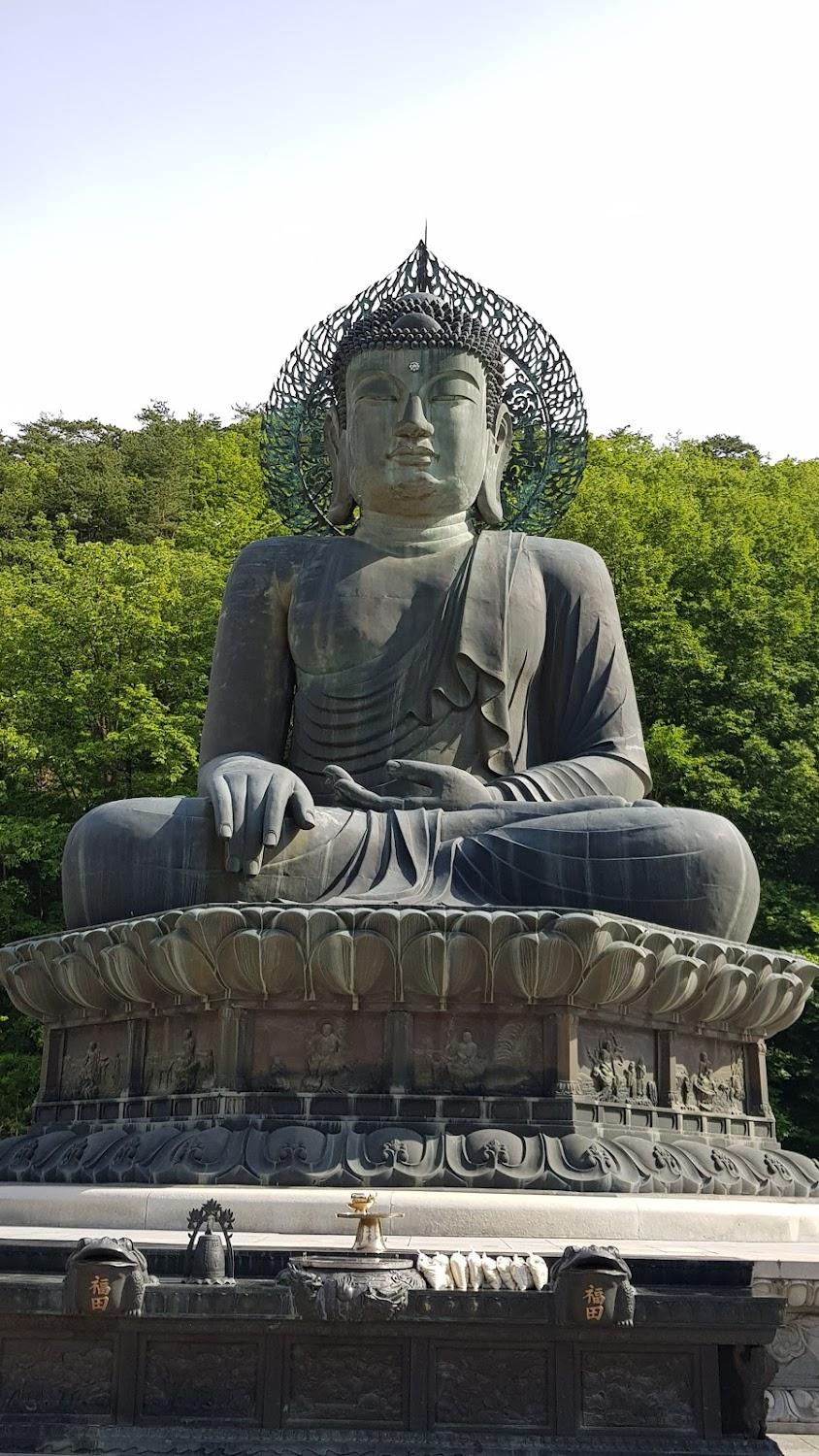 Cover Image for 노루목리조트