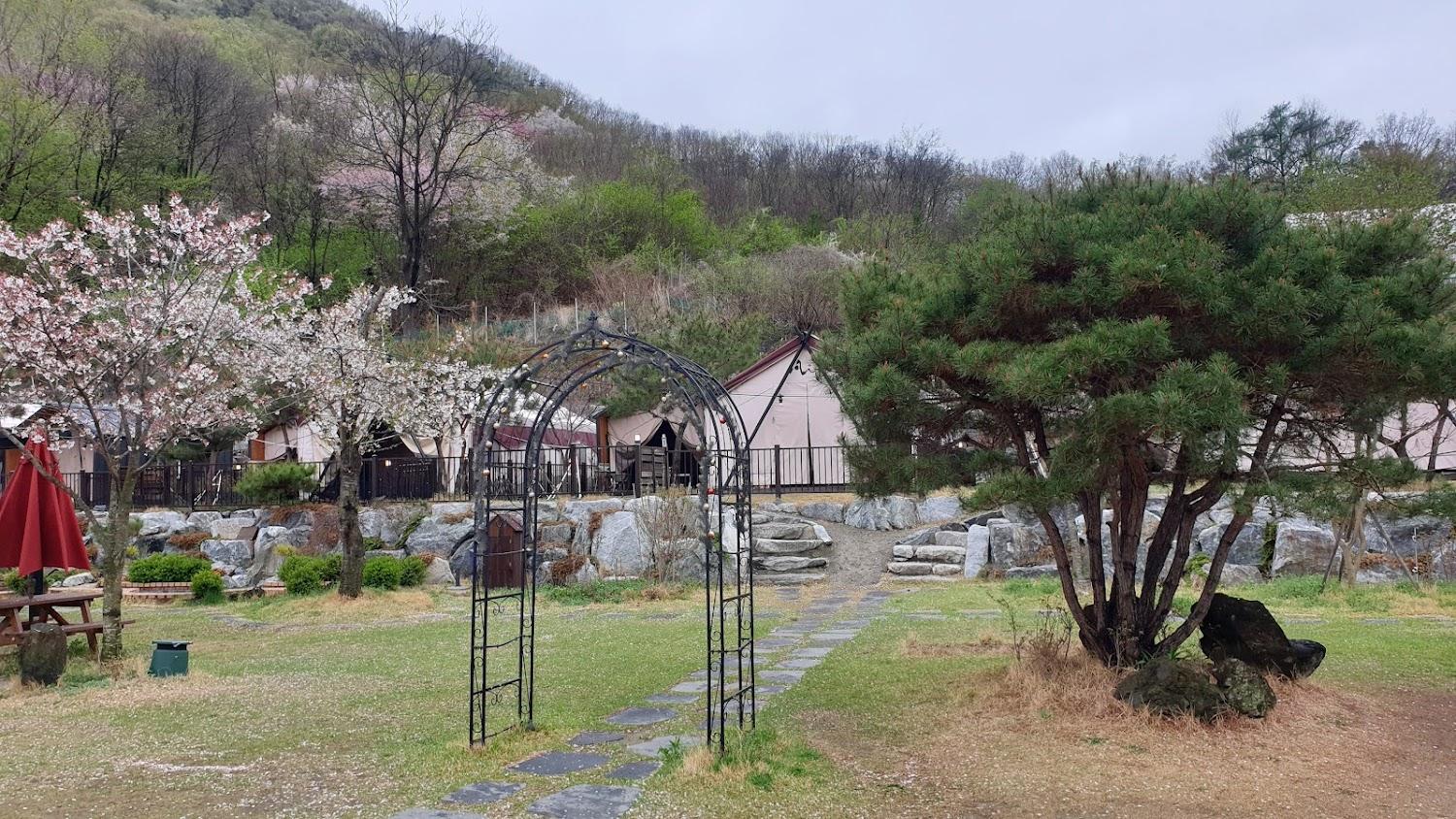 Cover Image for 캠프향기