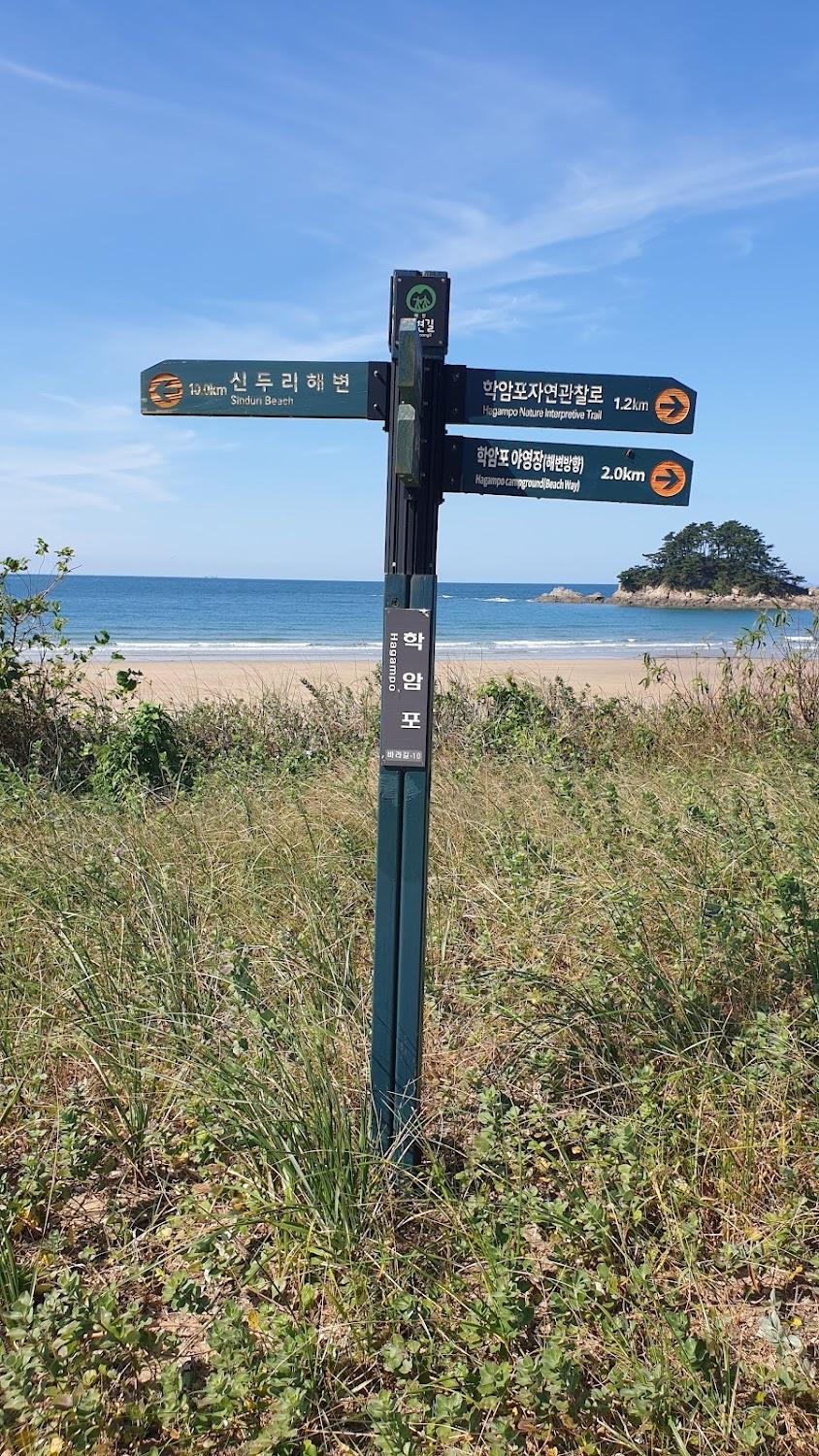 Cover Image for 캠핑클럽 학암포 나로캠핑장