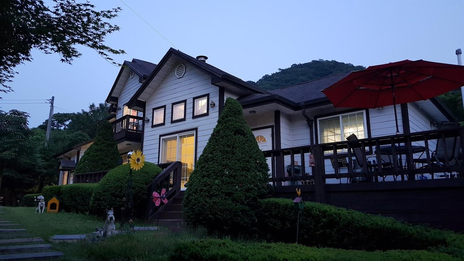 Cover Image for 관조선사