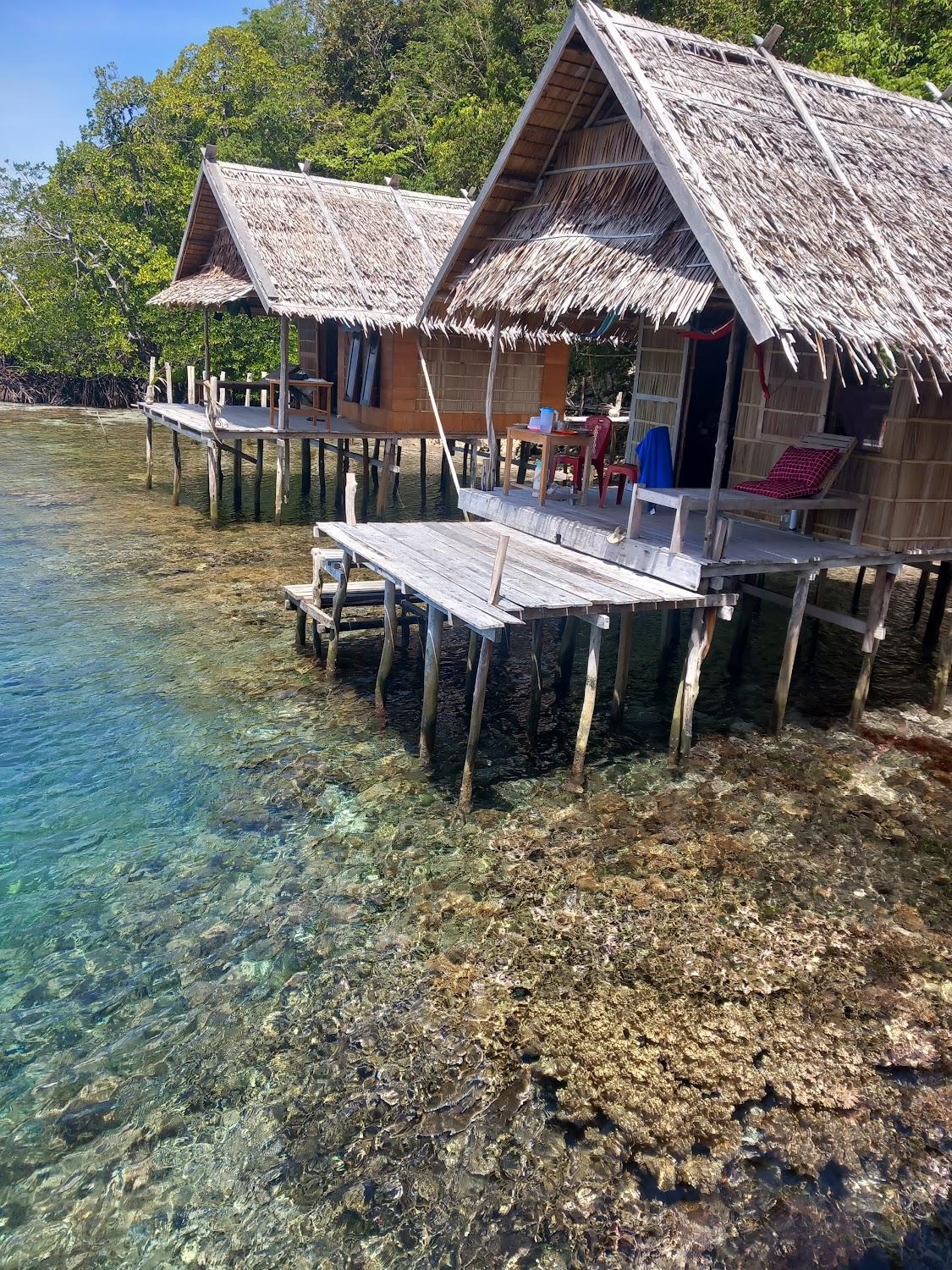 Cover Image for Avin sea homestay