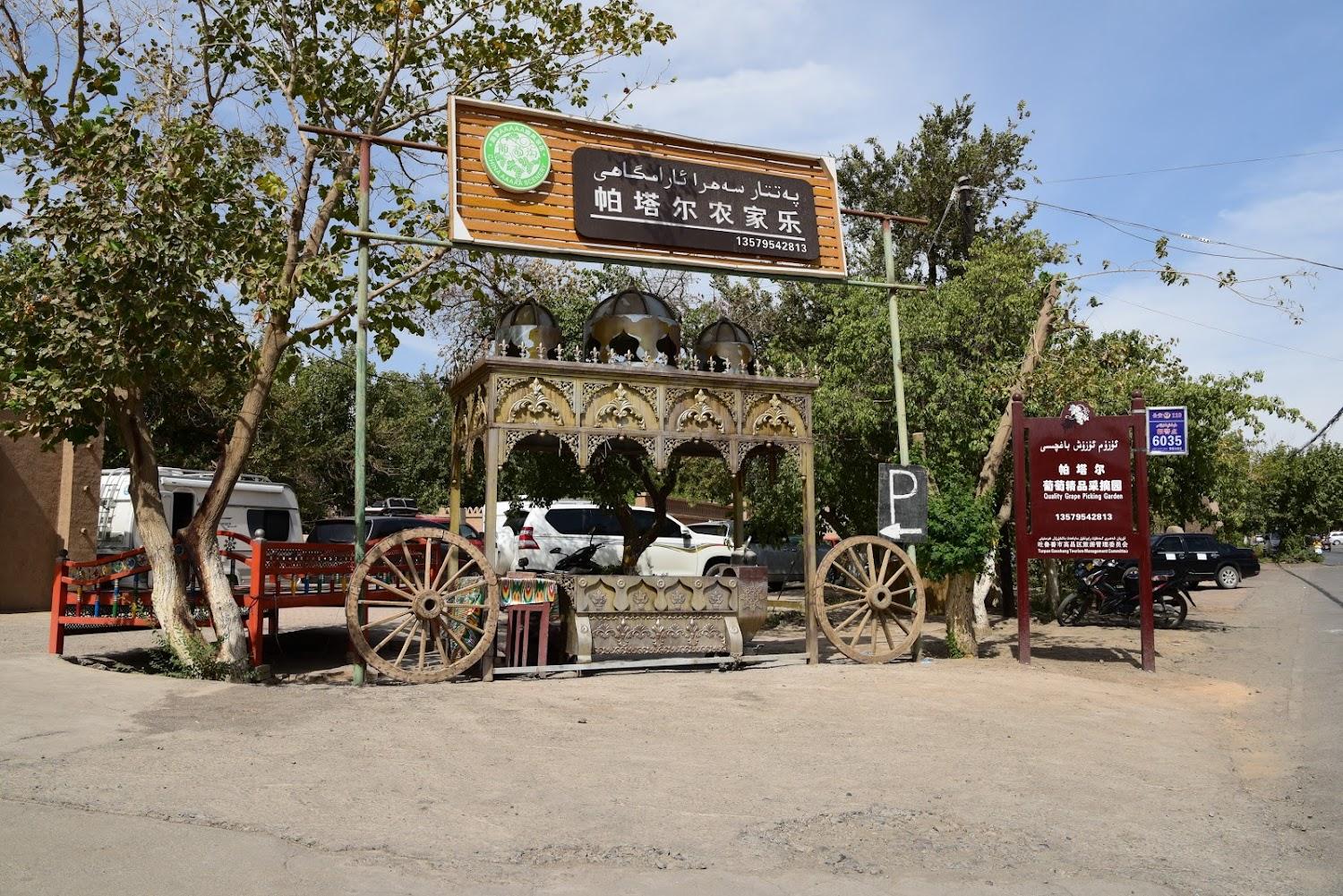 Cover Image for 葡萄沟
