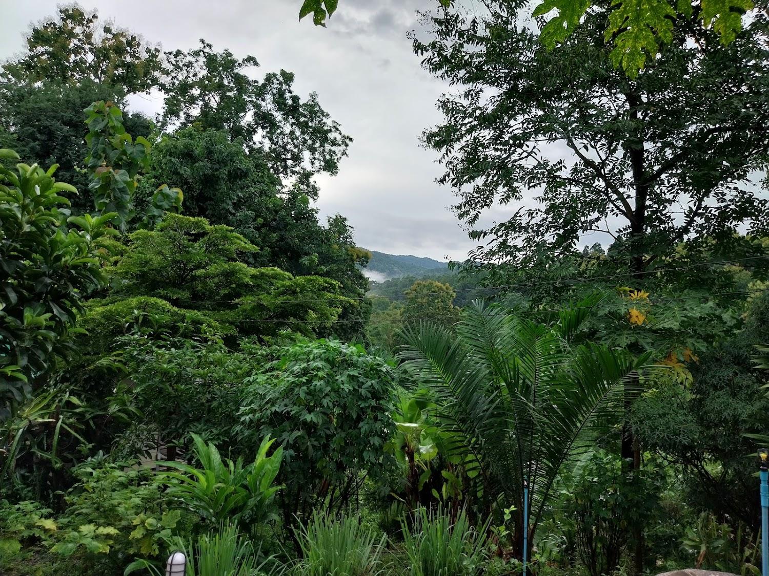 Cover Image for ที่พักแม่ออน บ้านแม่ลายวิว homestay