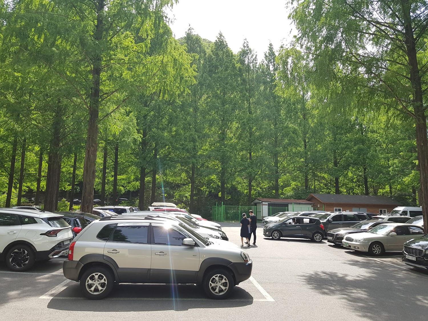 Cover Image for 스테이인터뷰 장태산