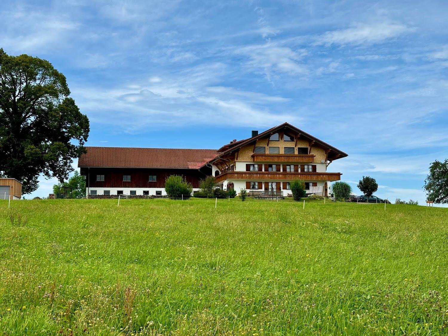 Cover Image for Bengelhof