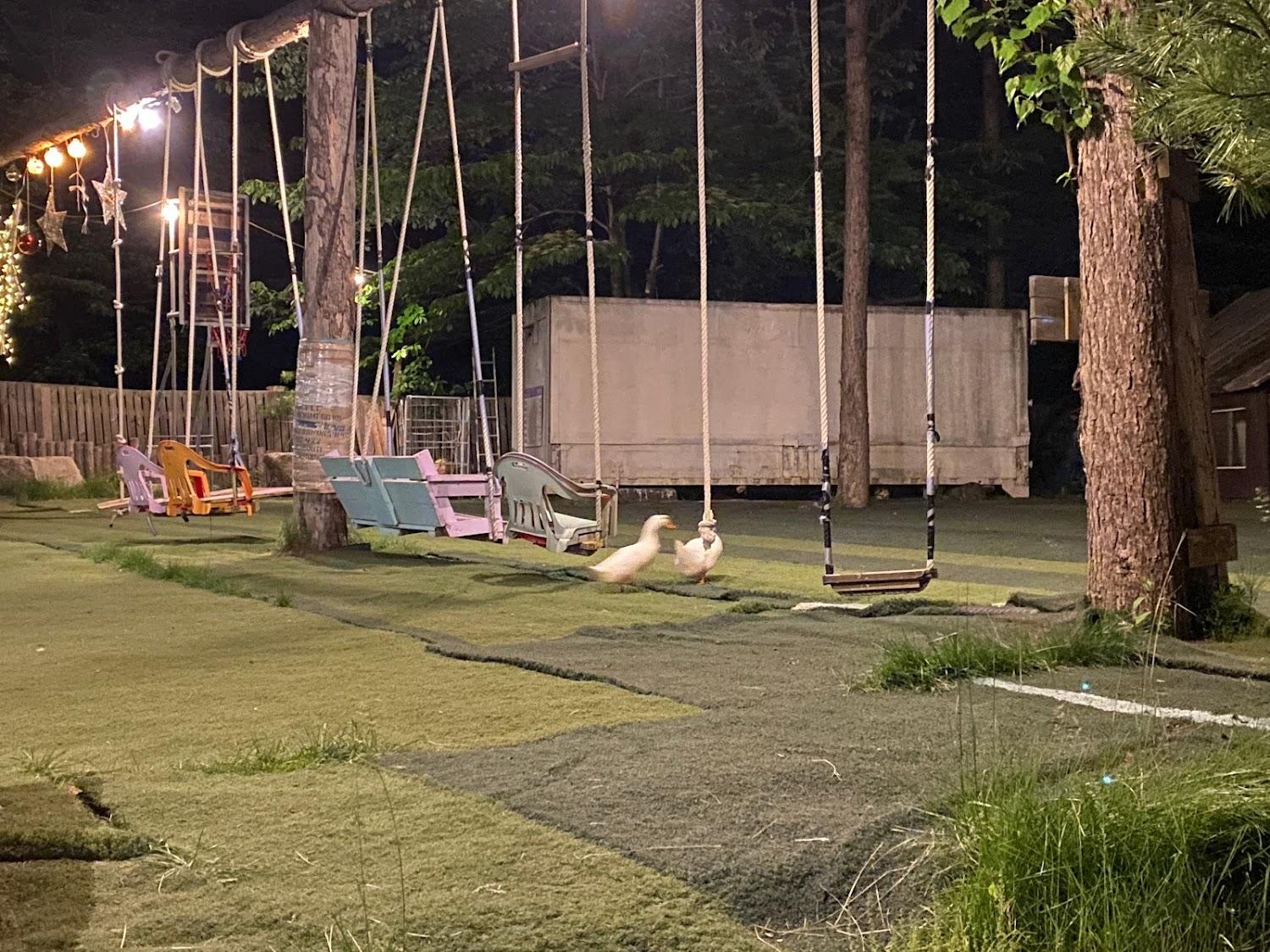 Cover Image for 태기산 캠핑장