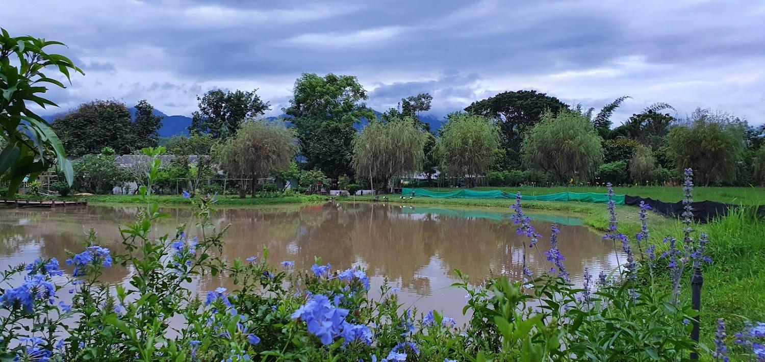 Cover Image for FARM STAY @ PAI